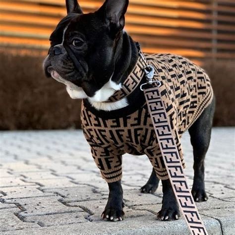 fendi dog harness|fendi dog accessories.